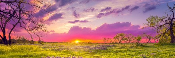 CryptiqCrypto banner