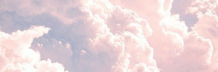 🦈 banner