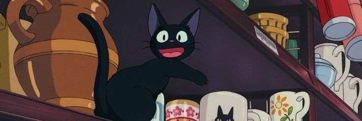 NeldaMarcela's profile banner image