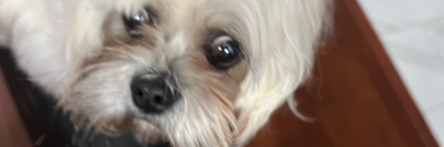 k0re's banner