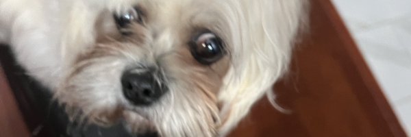 k0wee Profile Banner