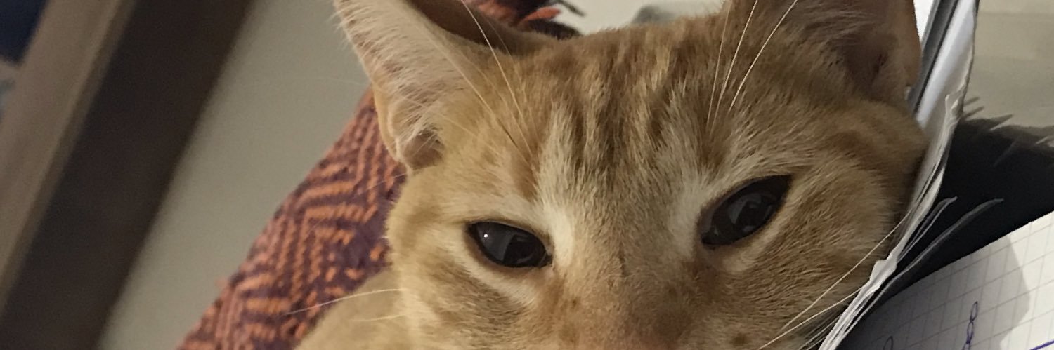 malcorragool's profile banner image