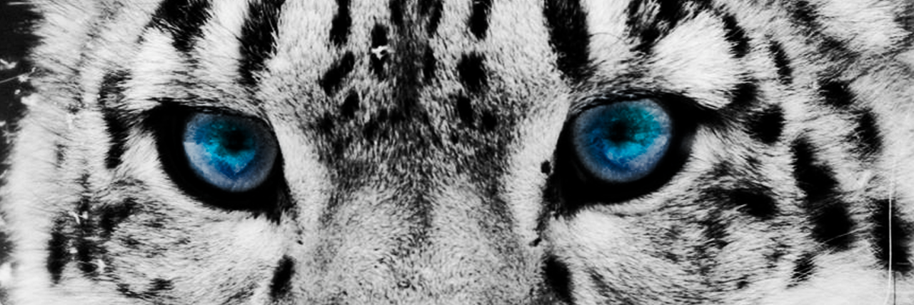 LyakhEgor's profile banner image