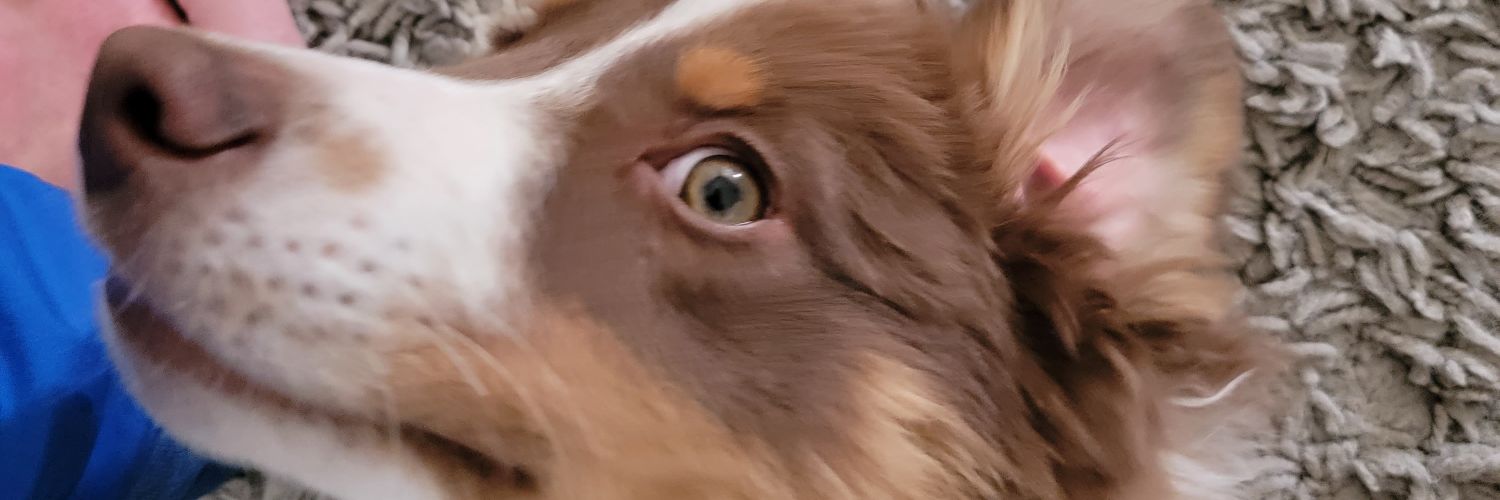 TrusMeImaDoc's profile banner image