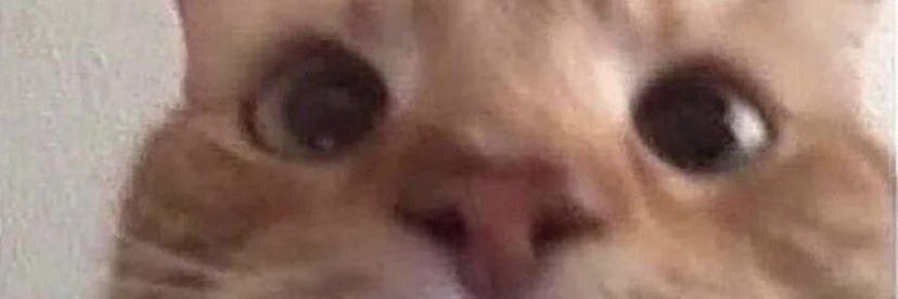 vtent101's profile banner image