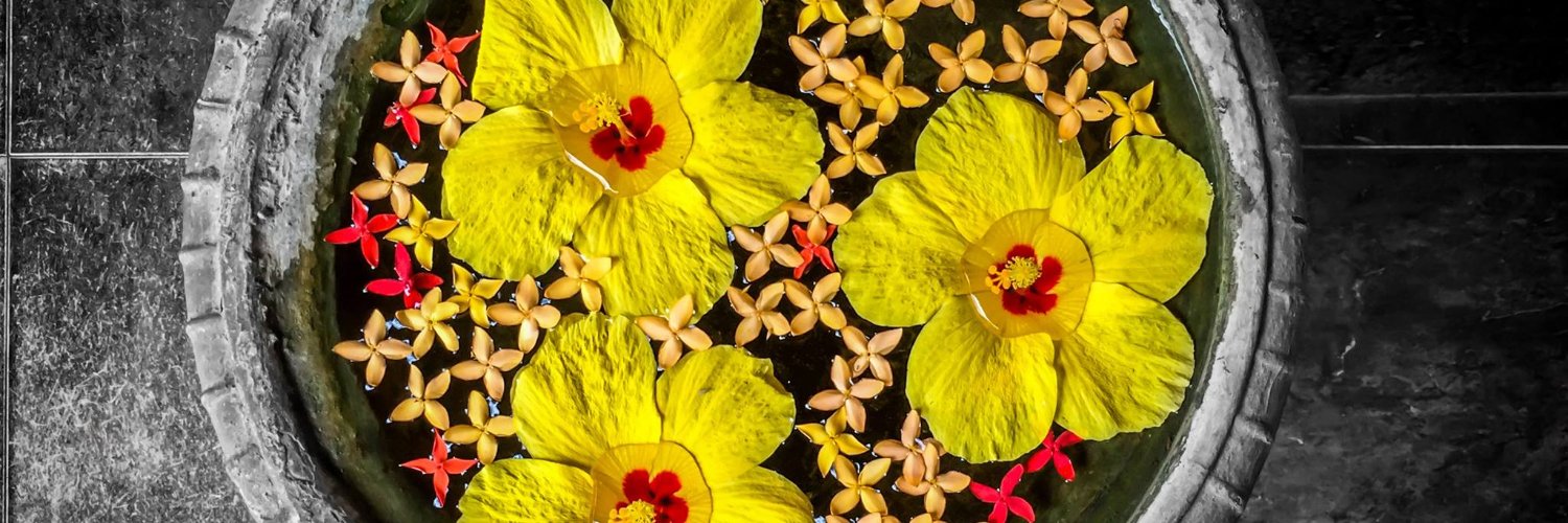 thierrylaborde's profile banner image