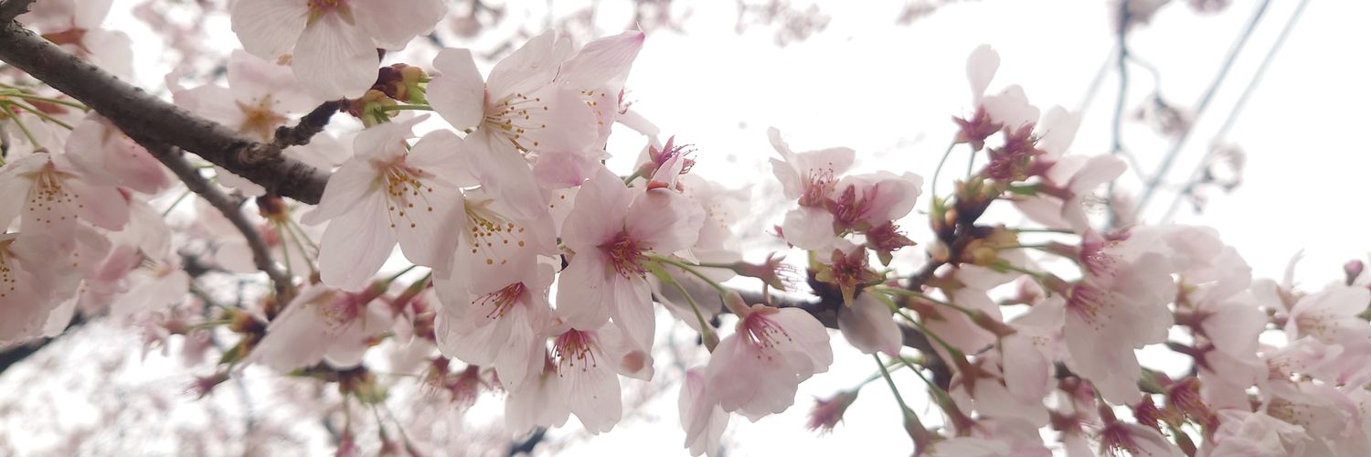 szksuzuko's profile banner image