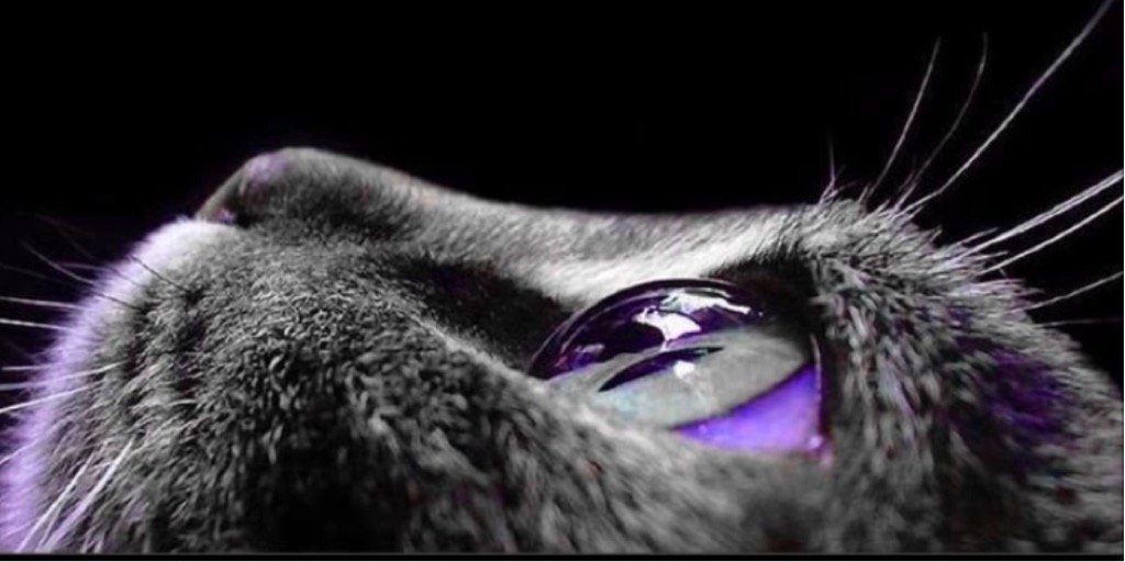 viicktor7's profile banner image