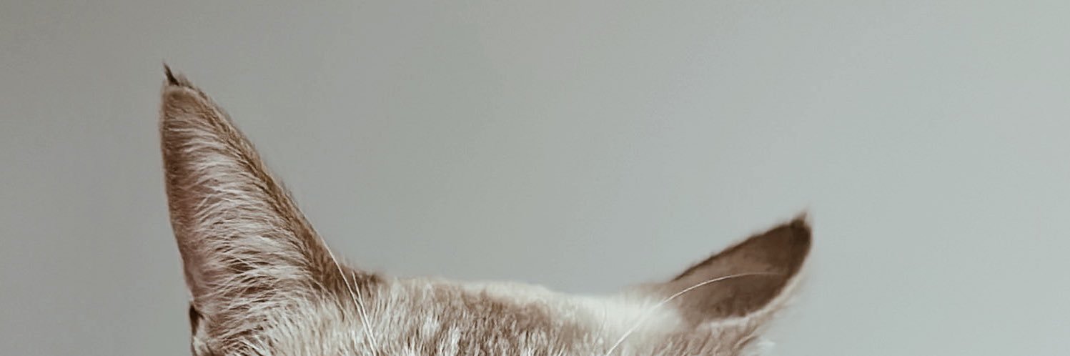 ximemmr's profile banner image