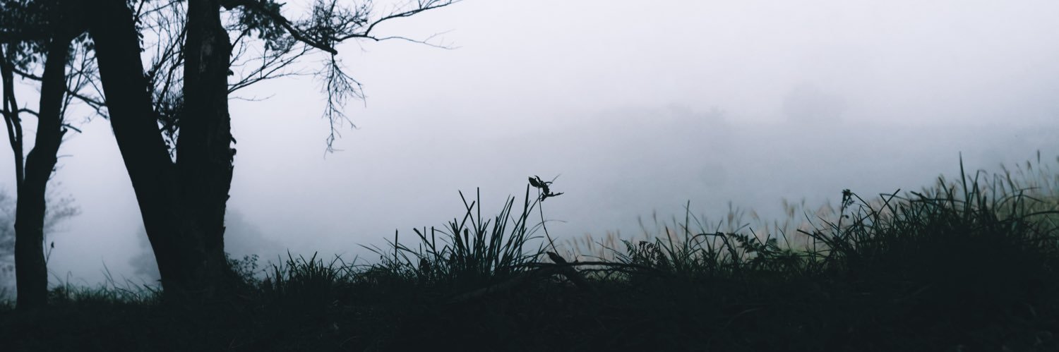 佐藤亜梨沙 │ Arisa Sato banner