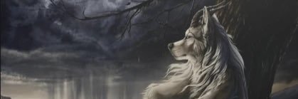 LChekoo's profile banner image