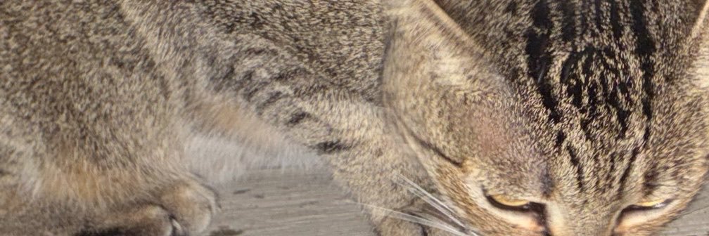 R_U_D_0's profile banner image