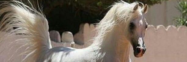 wz_900's profile banner image
