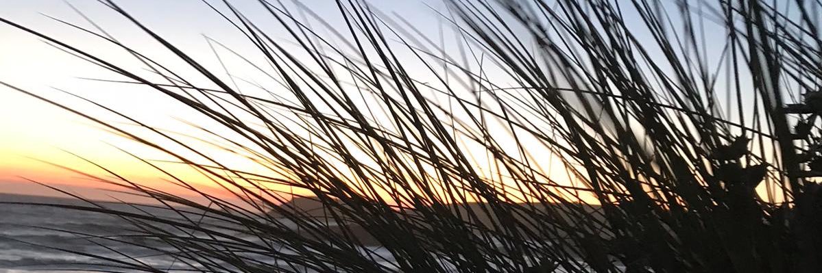 Prof Richard Pollok banner