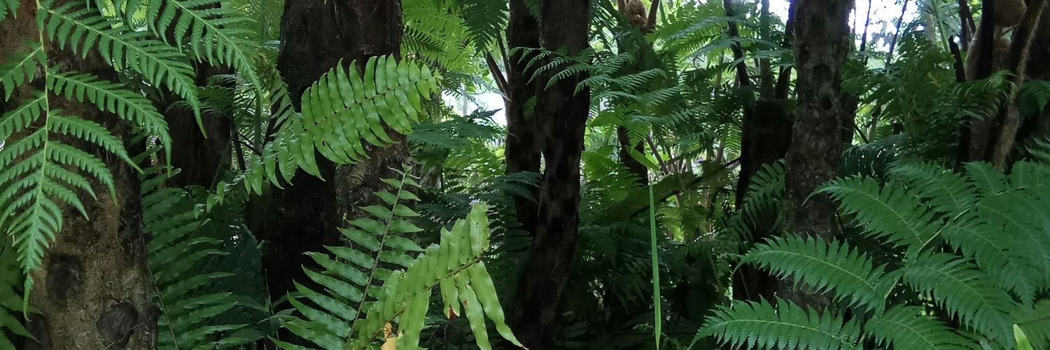 sylviahasny's profile banner image