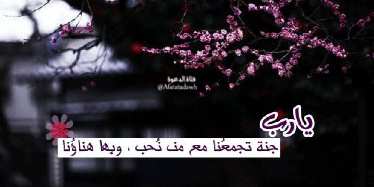 Amoool0099's profile banner image