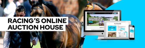 thorough_bid Profile Banner