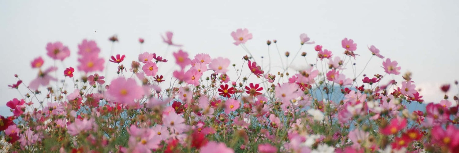 MilagrosBGr's profile banner image