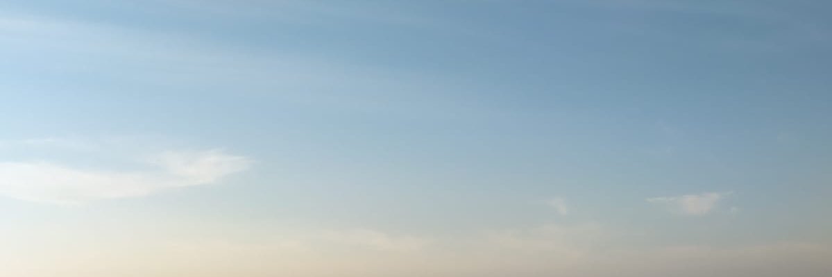 viodelmon's profile banner image