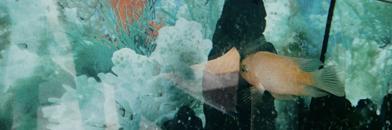 kangdomcome's profile banner image