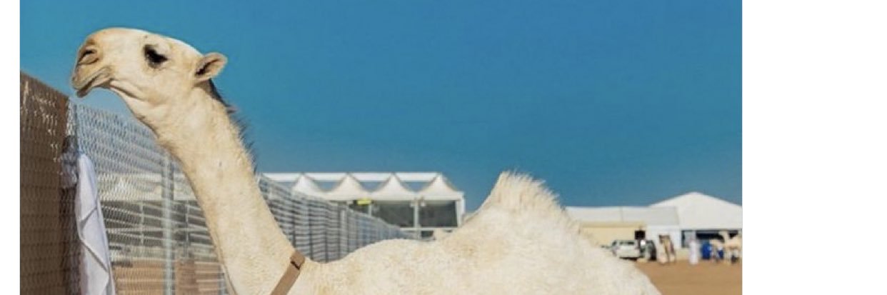 abdulrhmann2020's profile banner image