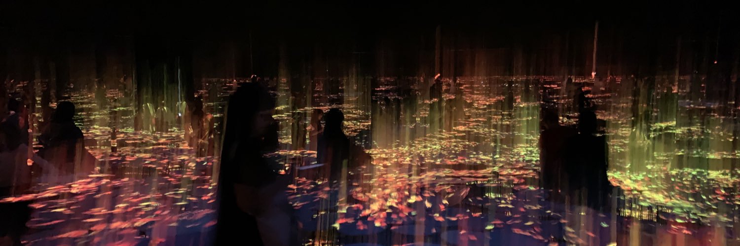 janaino's profile banner image