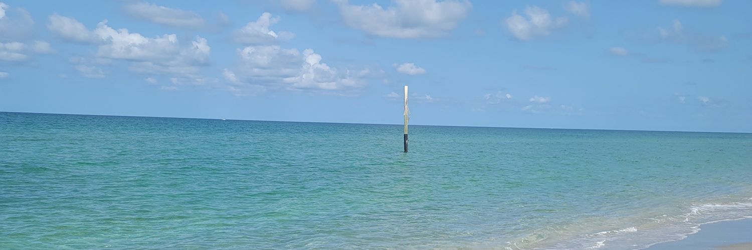 MarleneStoddard's profile banner image