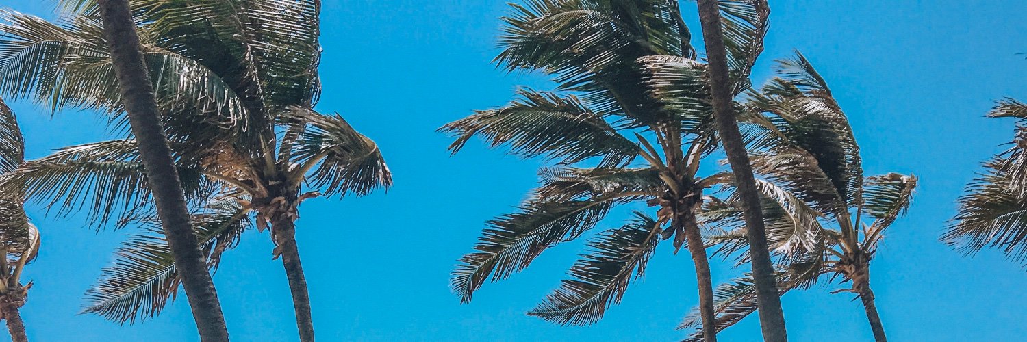 bruuna_lele's profile banner image