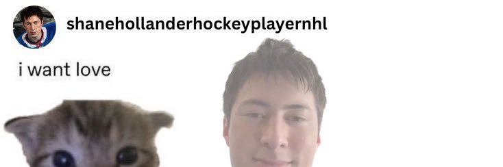 the real shane hollander banner