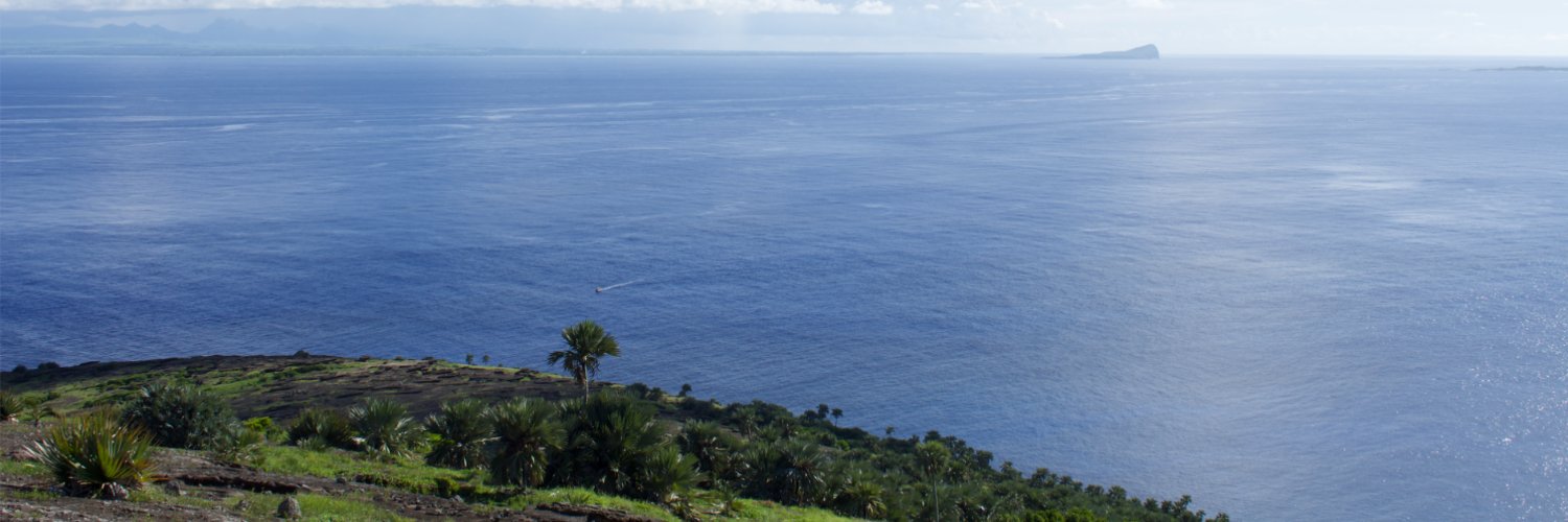 SoniaVallocchia's profile banner image
