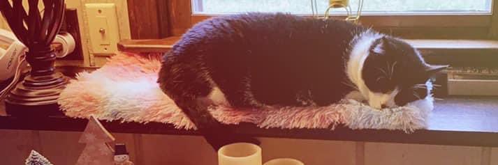 Blake banner