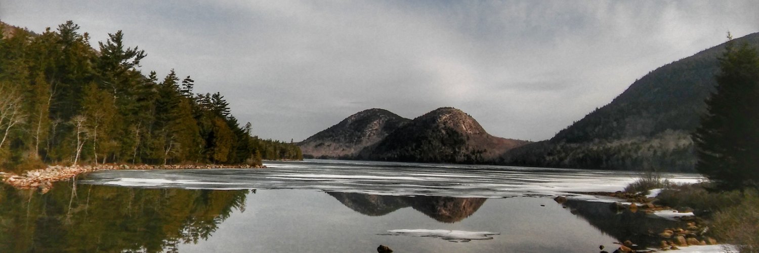 Rebecca Meyer banner