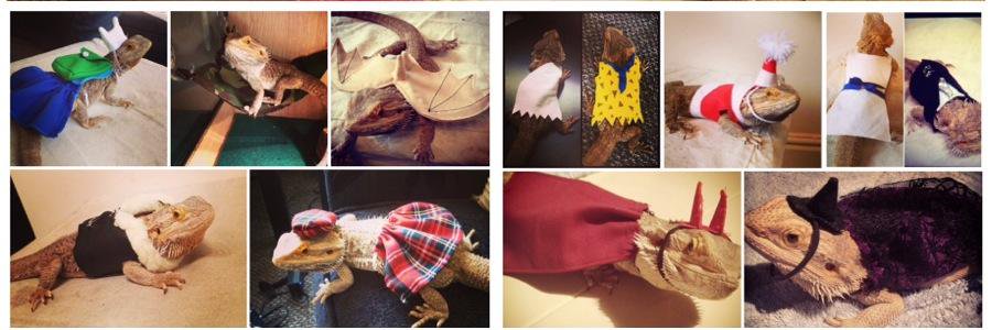 MonsterTrims's profile banner image