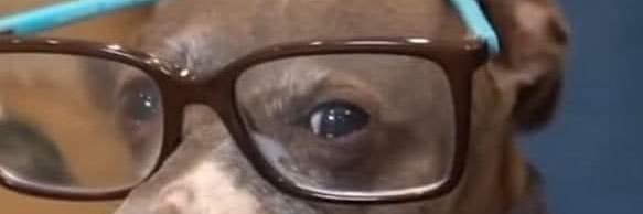 BatmanBreon's profile banner image