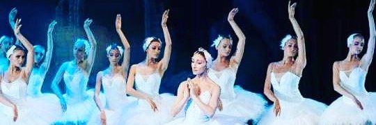 EVITA SOPHIA banner