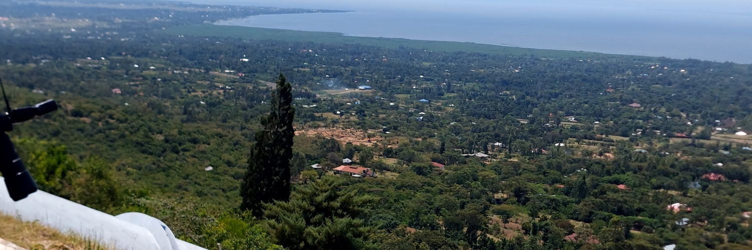 fellofello1's profile banner image