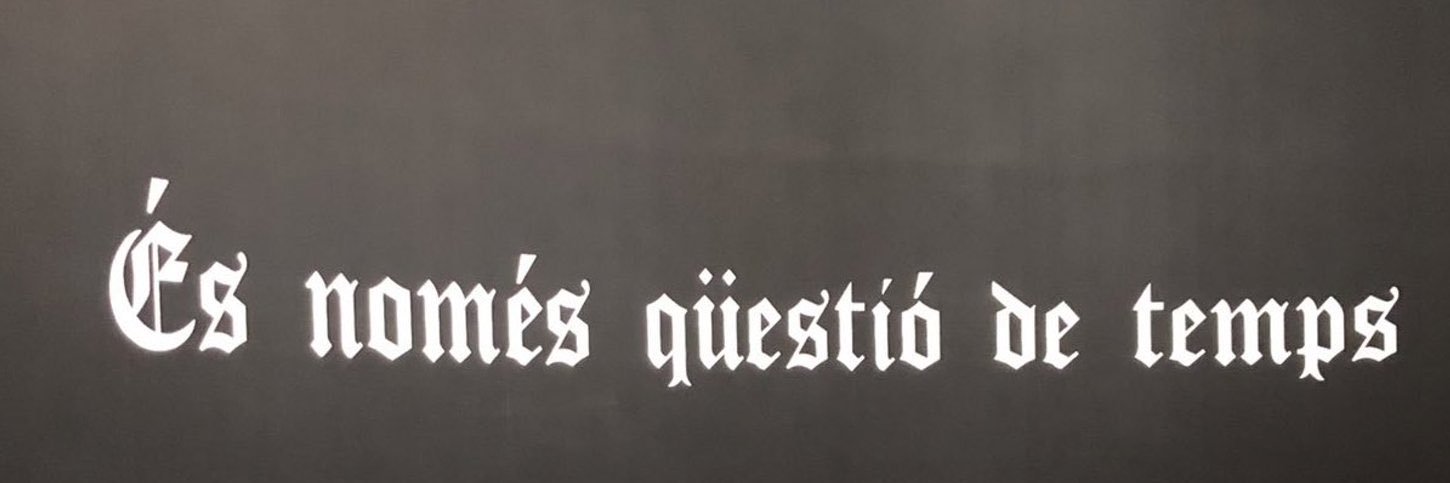 margaritabui's profile banner image