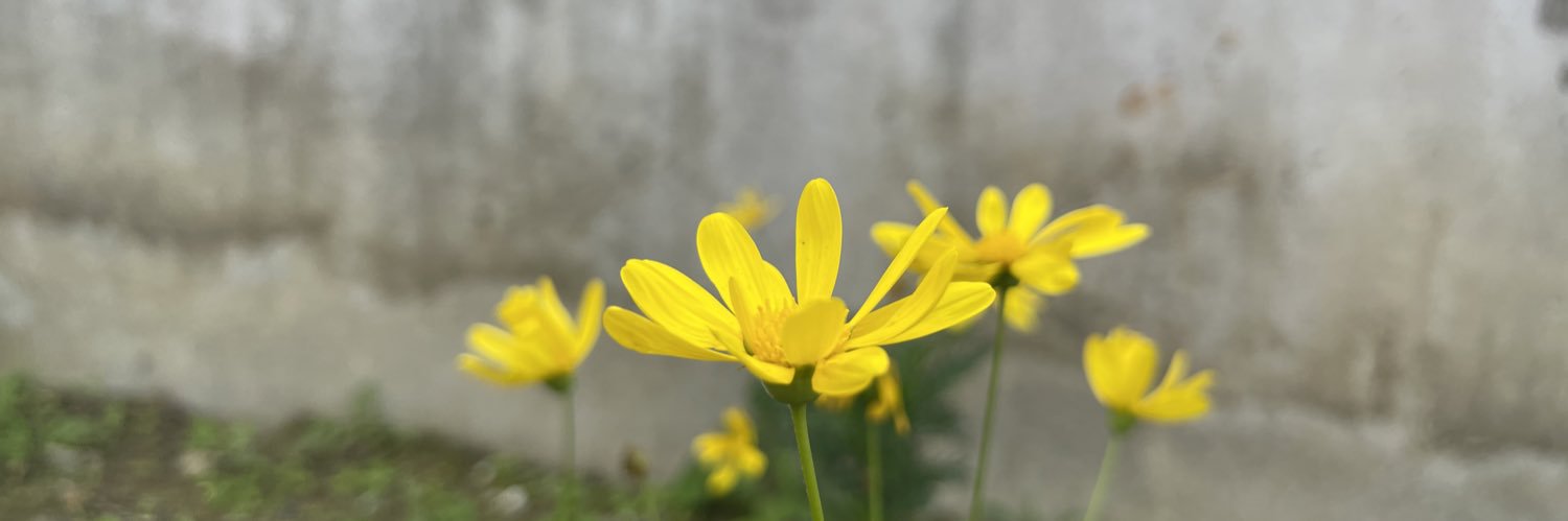 Pradabesbi's profile banner image