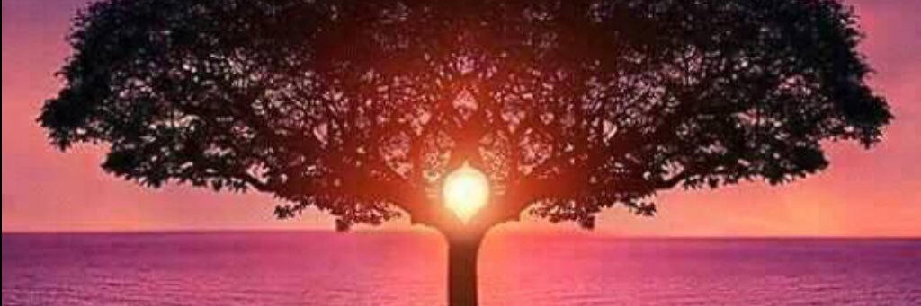 🌞🌊👙Silvia Samudio👙🌊🌞 banner