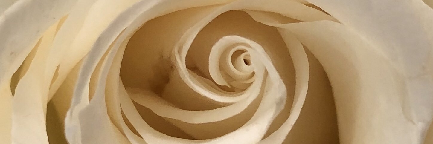 pmpmbury's profile banner image