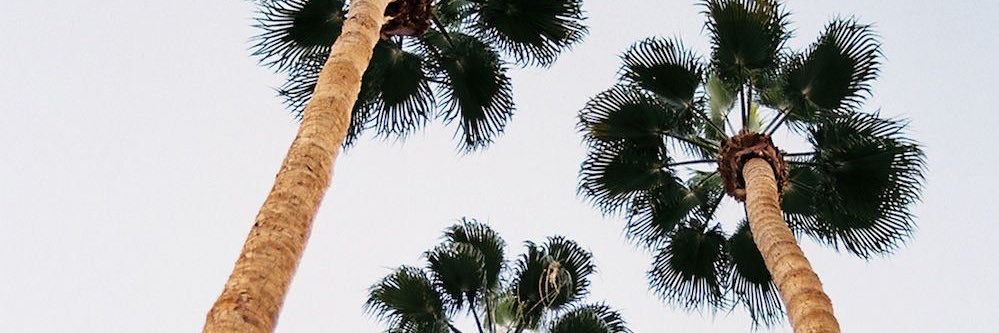 RealLuisAngel's profile banner image