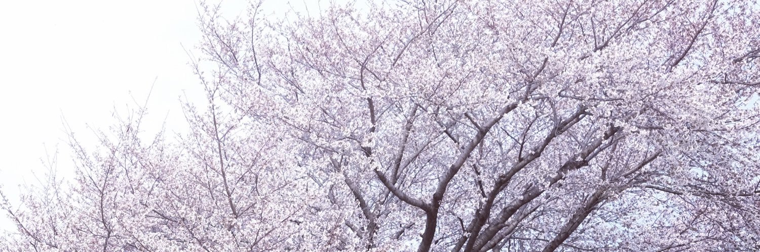 ChHwang_'s profile banner image