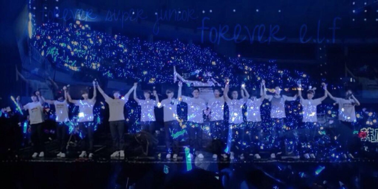 Bluebear0501's profile banner image