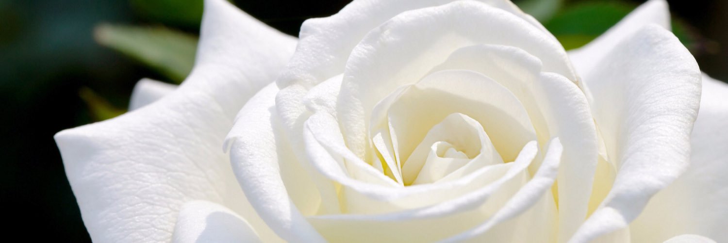 ArtdHorta's profile banner image