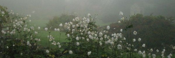 _wernon Profile Banner