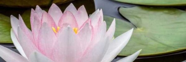 infiniteloaded's profile banner image