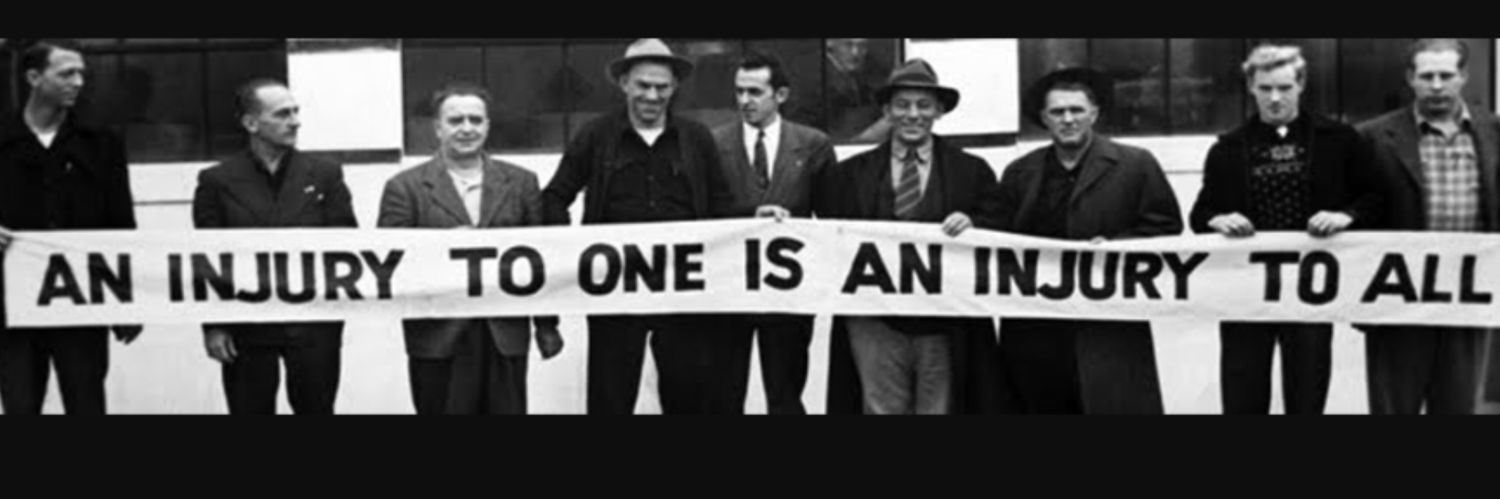 abby's banner