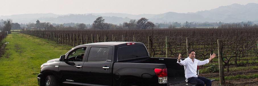 Donny Sebastiani banner