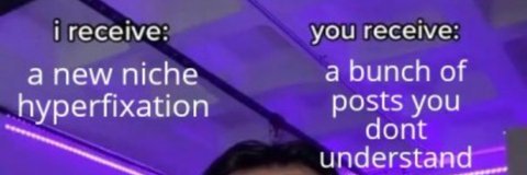 suto's banner