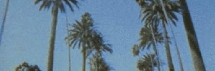 Lxdrm_'s profile banner image